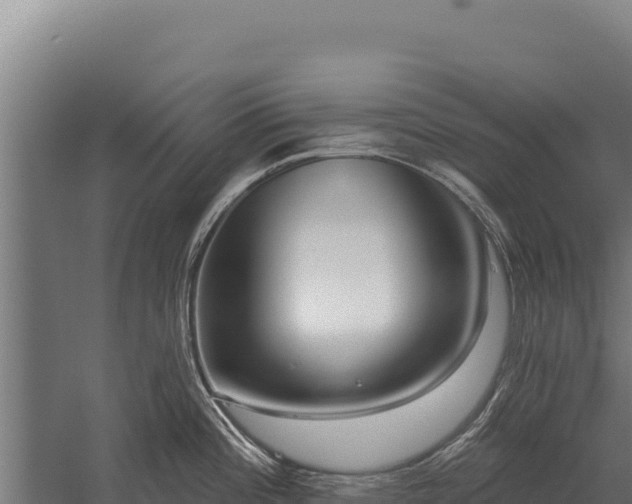 X0000059841196200510281816