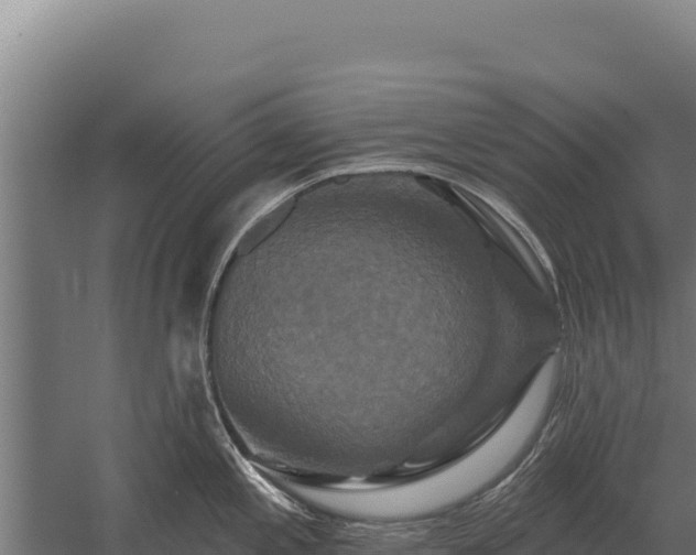 X0000059841197200510281816