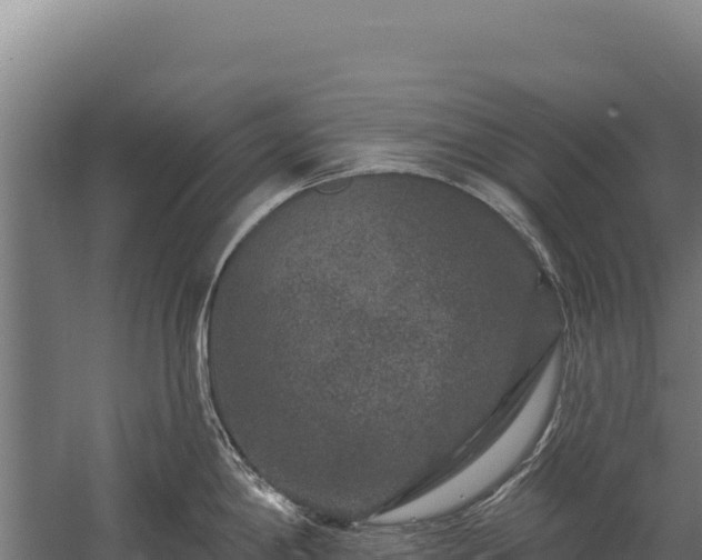 X0000059841198200510281816