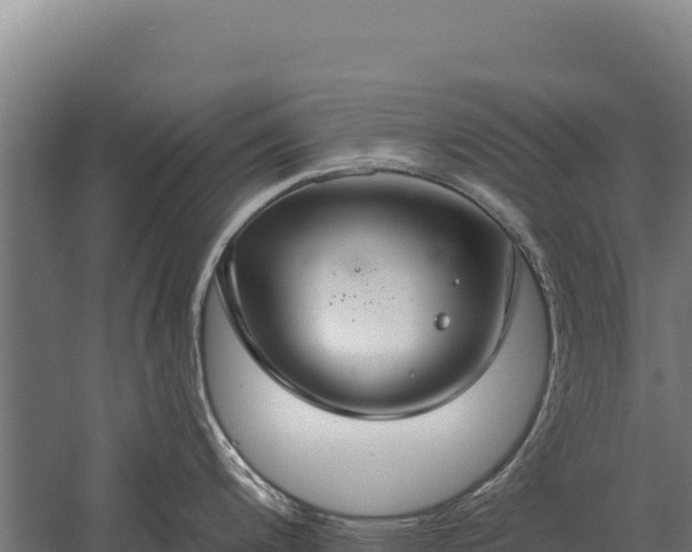 X0000059841200200510281816