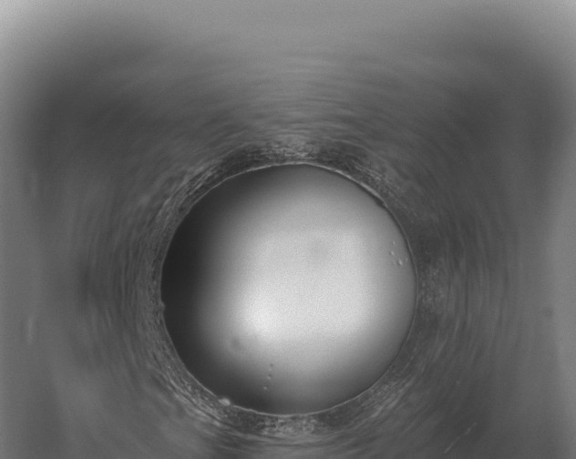 X0000059841201200510281815