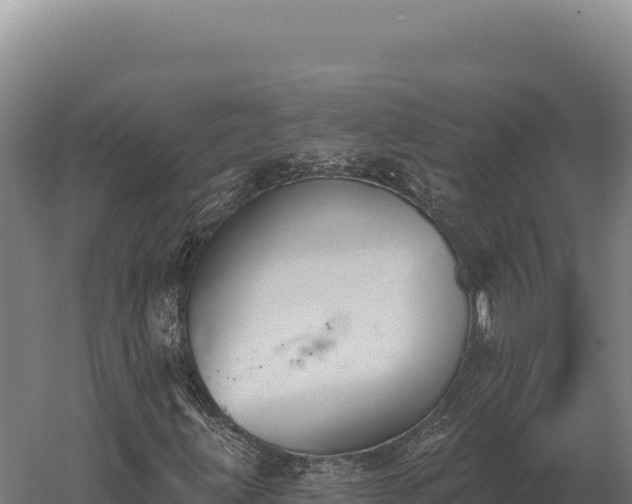 X0000059841203200510281815