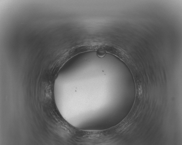 X0000059841204200510281815