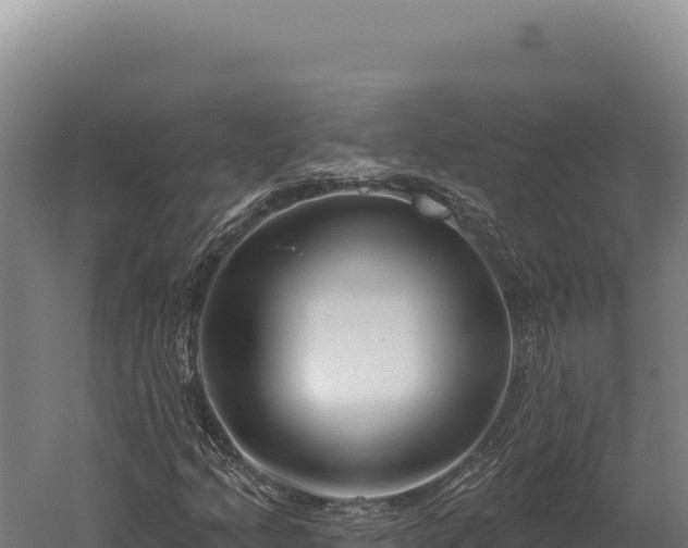 X0000059841205200510281815