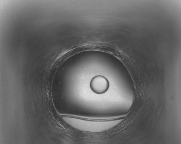 X0000059841206200510281815