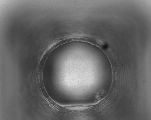 X0000059841208200510281815