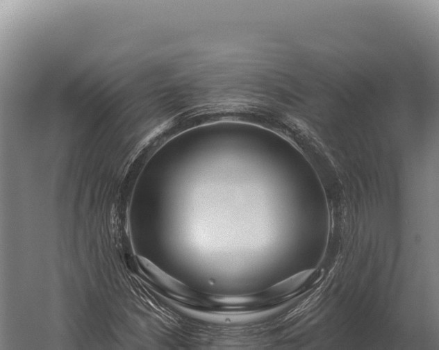 X0000059841210200510281815