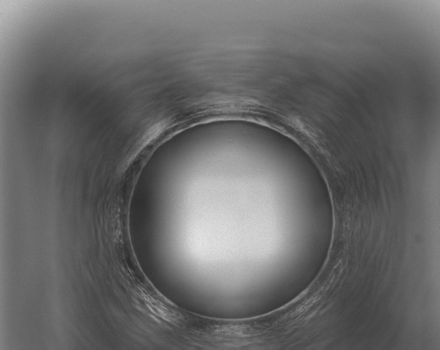 X0000059841211200510281815