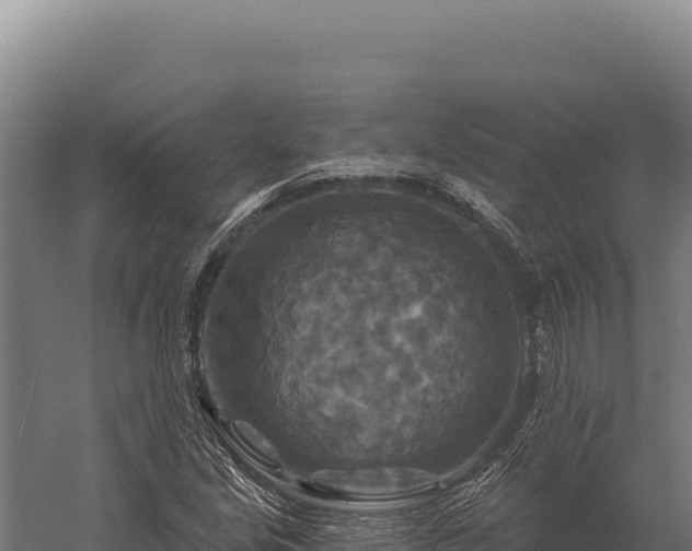 X0000059841213200510281815