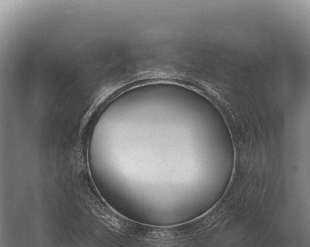 X0000059841215200510281815