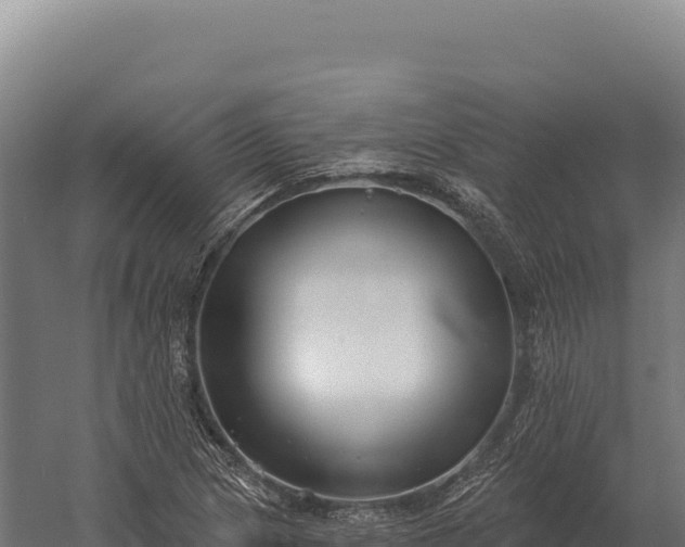 X0000059841217200510281815