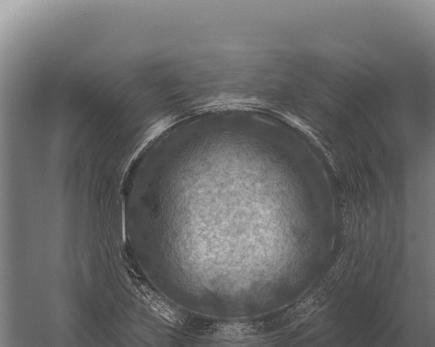 X0000059841219200510281815