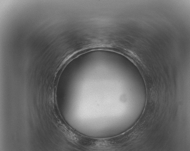 X0000059841220200510281815