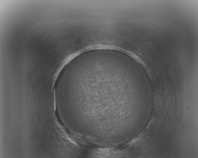 X0000059841223200510281815