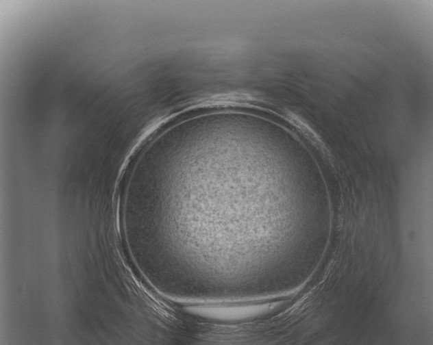 X0000059841224200510281815