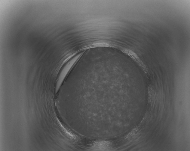 X0000059841225200510281815