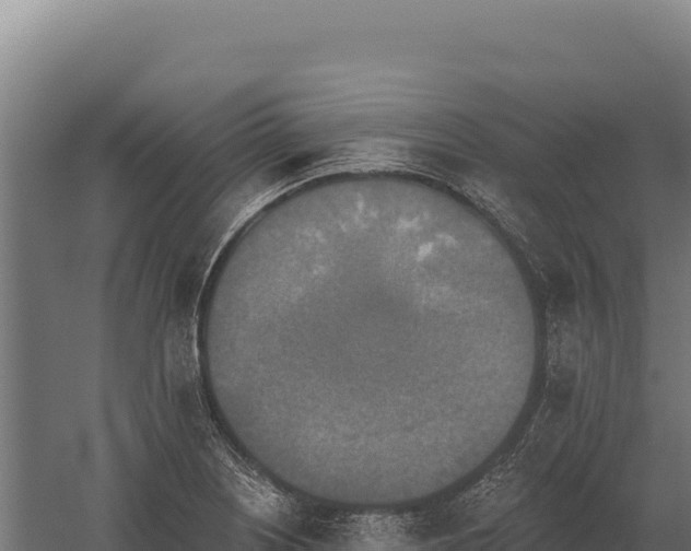 X0000059841226200510281816