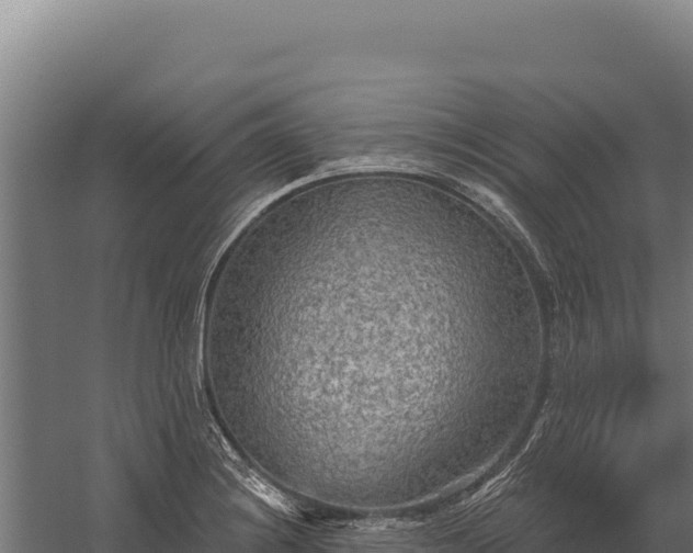 X0000059841228200510281816