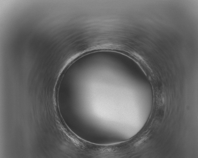 X0000059841230200510281816