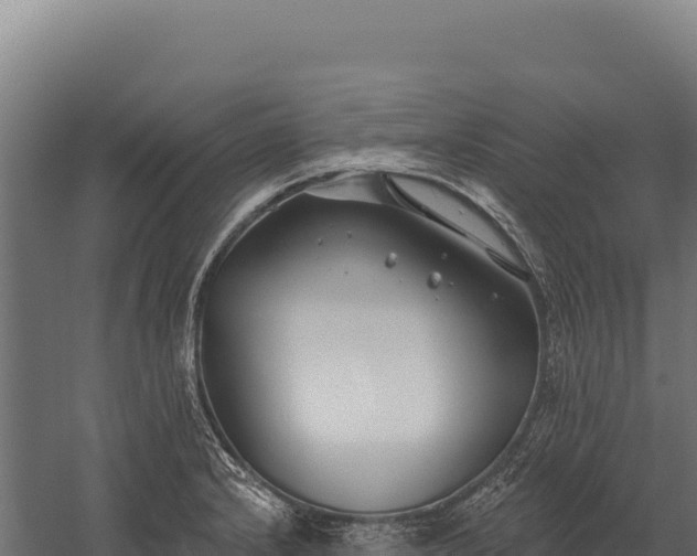 X0000059841232200510281816