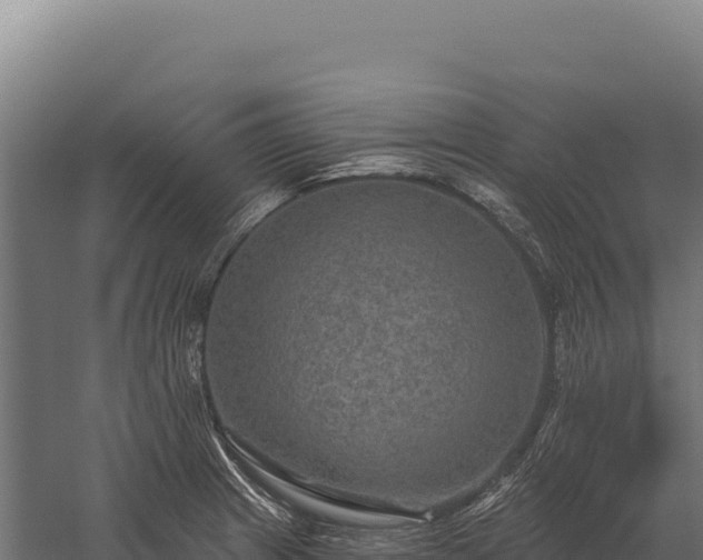 X0000059841233200510281816