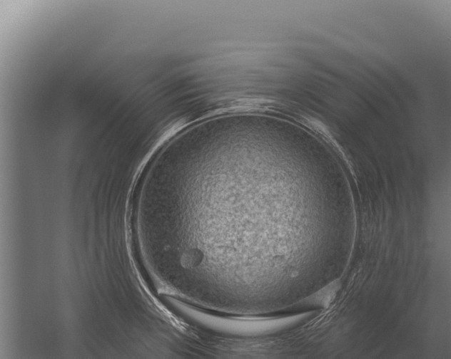 X0000059841235200510281816