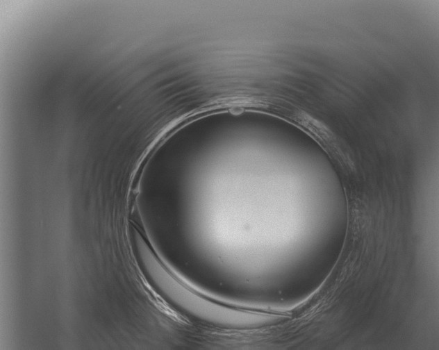 X0000059841236200510281816