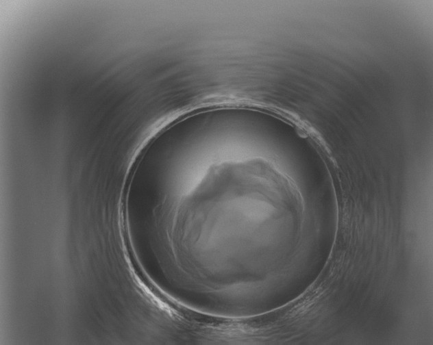 X0000059841239200510281816