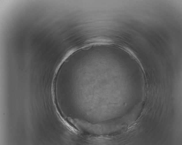 X0000059841243200510281816