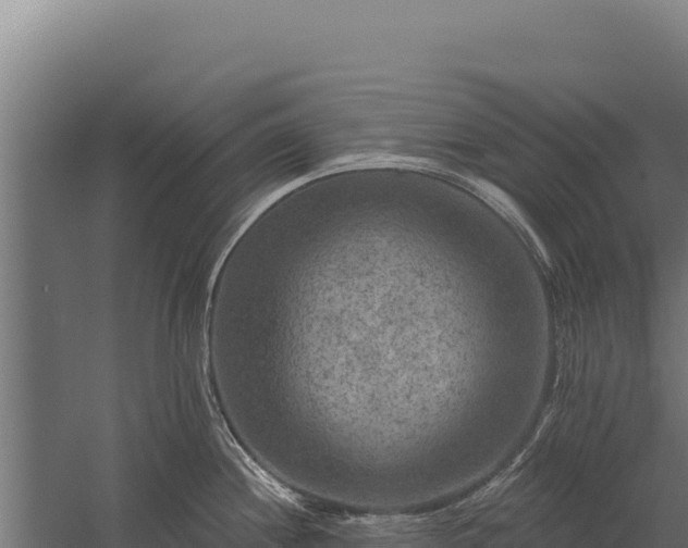 X0000059841244200510281816