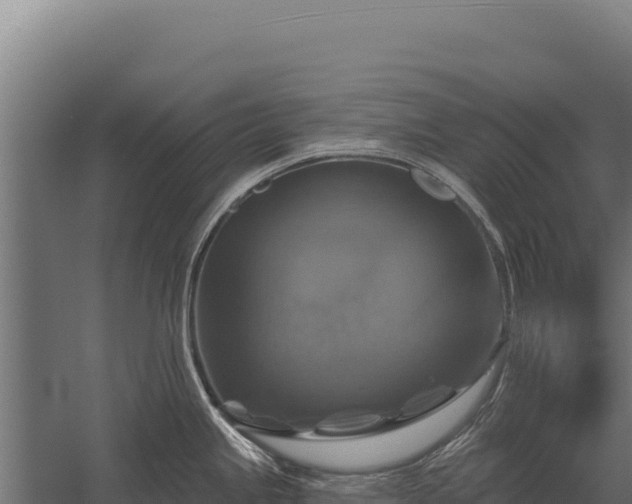 X0000059841245200510281816