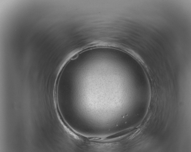 X0000059841247200510281816