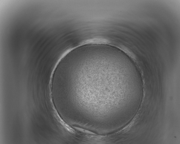 X0000059841248200510281816