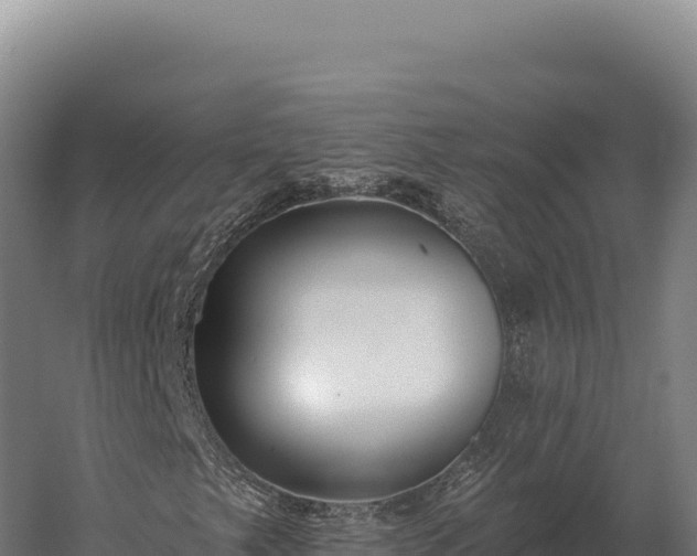 X0000059841249200510281815