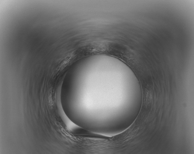 X0000059841250200510281815