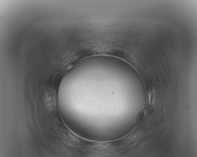 X0000059841251200510281815