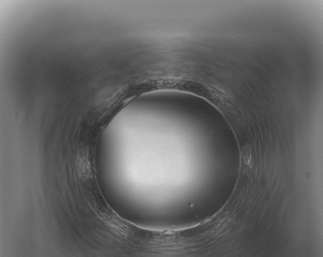 X0000059841252200510281815