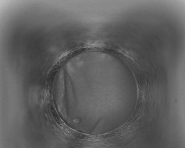 X0000059841254200510281815