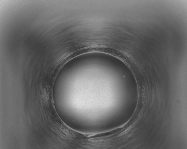 X0000059841257200510281815