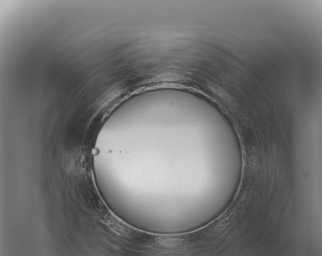 X0000059841258200510281815