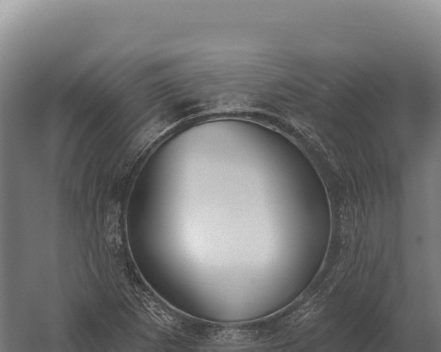 X0000059841265200510281815