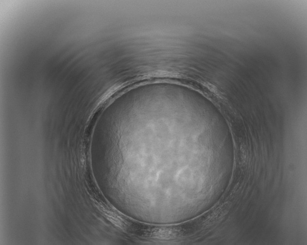 X0000059841266200510281815