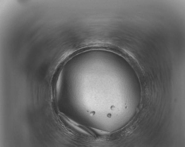 X0000059841267200510281815