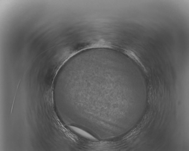 X0000059841268200510281815