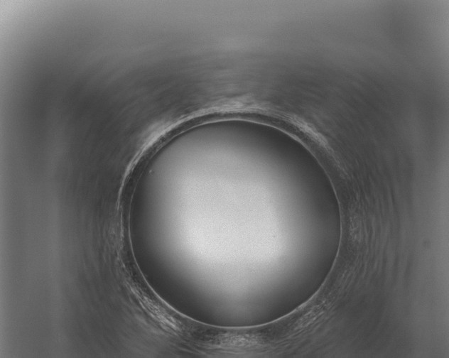 X0000059841270200510281815