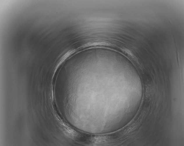 X0000059841274200510281815