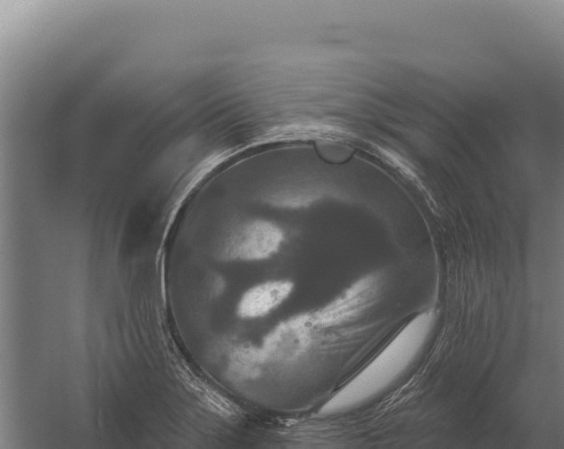 X0000059841275200510281815