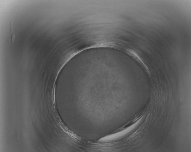 X0000059841276200510281815