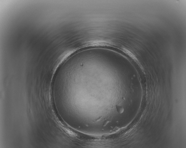 X0000059841277200510281815