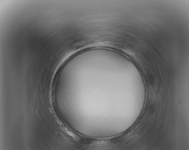 X0000059841278200510281815